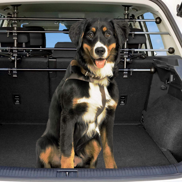 Hundegitter Auto Schutzgitter Hund Universal Trenngitter Gepäckgitter  Kofferraum